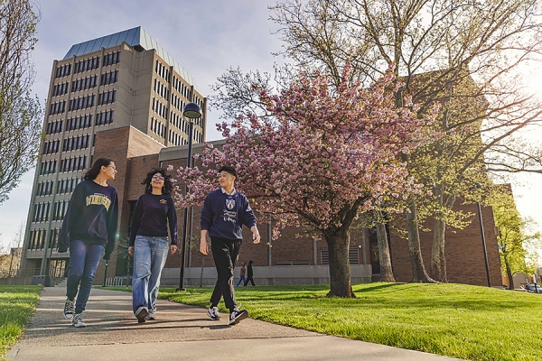 students walking through campus green space