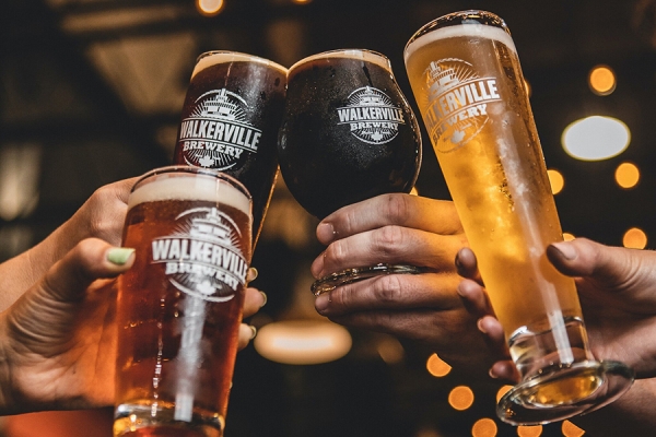 hands raising celebratory glasses