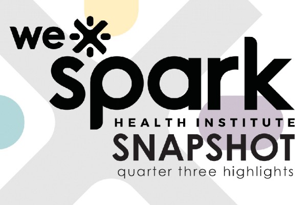 WE-Spark snapshot cover