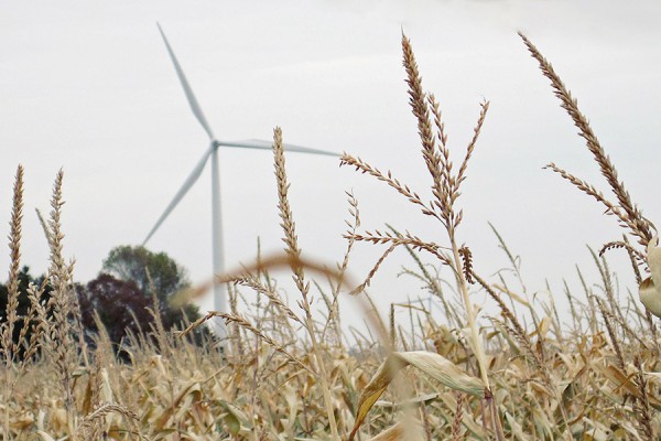 wind turbine in field