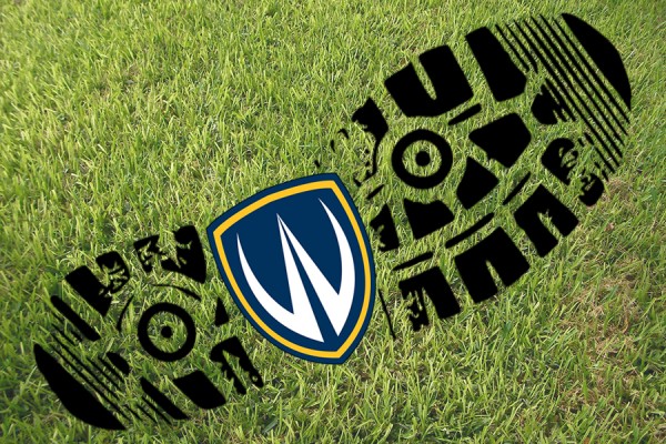 shoe print superimposed on grass