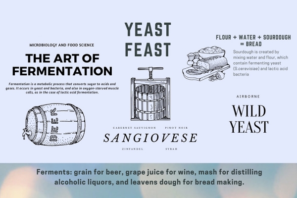 graphic with facts about yeast