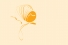 logo of Butterfly Asian and Migrant Sex Workers Support Network