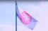 United Way flag