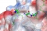 computer-rendered image of a peptide