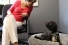 Giselle St. Louis, clinical therapist in the Faculty of Engineering and therapy dog Winnie, a standard poodle