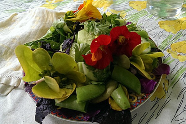 plate of salad