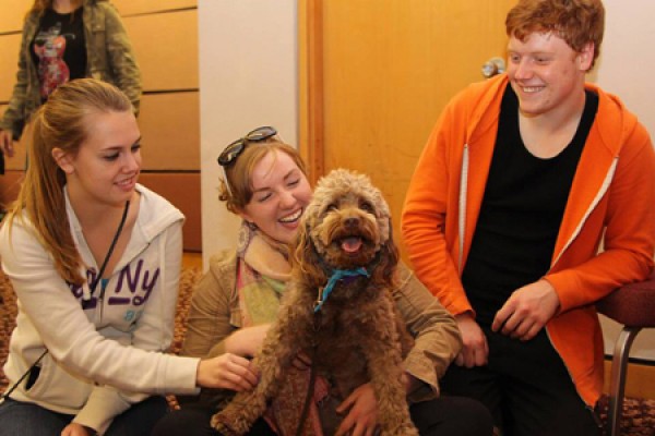 students surround dog