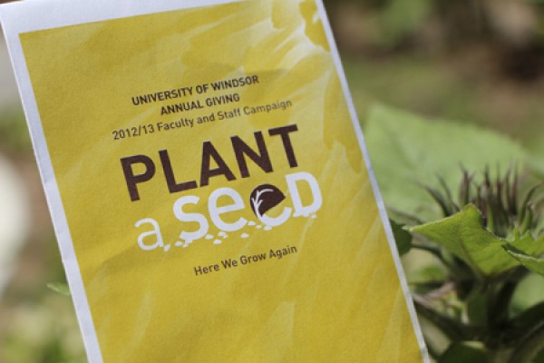image of invitation to Plant a Seed reception