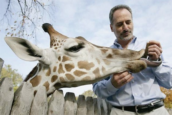 Ron Kagan feeding giraffe