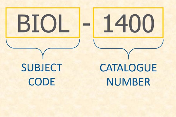course code graphic