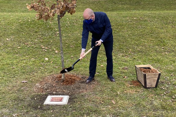 Drew Dilkens shovels mulch at the base of a tree