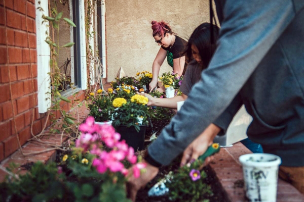 people planting in garden