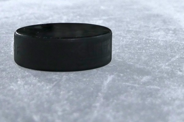 hockey puck