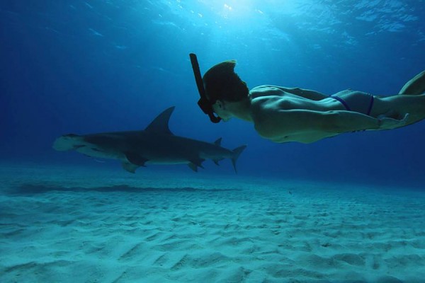 scene of man swimming with shark from the documentary feature “Sharkwater Extinction.”