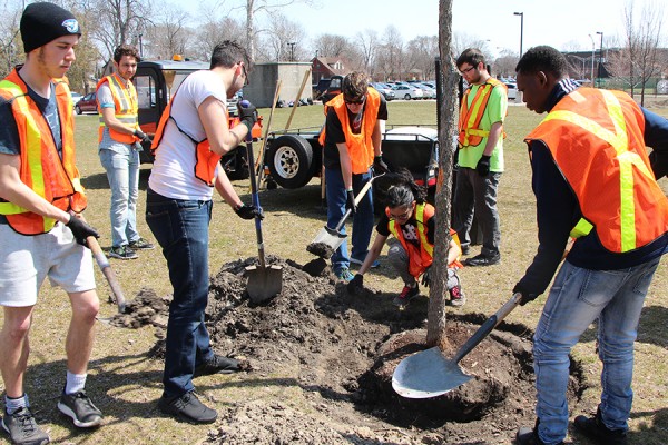 Student members of the University of Windsor Outdoors Club picked up shovels to help plant trees Thursday on the east side of Sunset Avenue south of University Avenue.