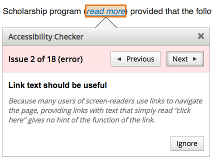 Example on an error window in the accessibility checker