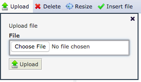 Upload new file window