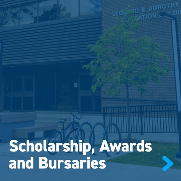 Scholarship, Awards  and Bursaries Gridster button