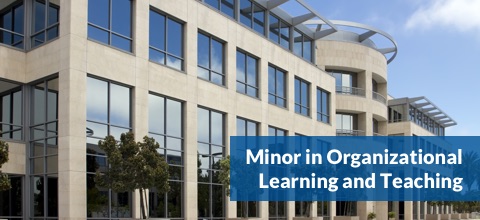 Minor in Organizational Learning and Teaching