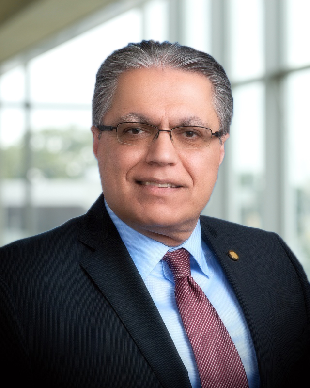 Dr. Mehrdad Saif