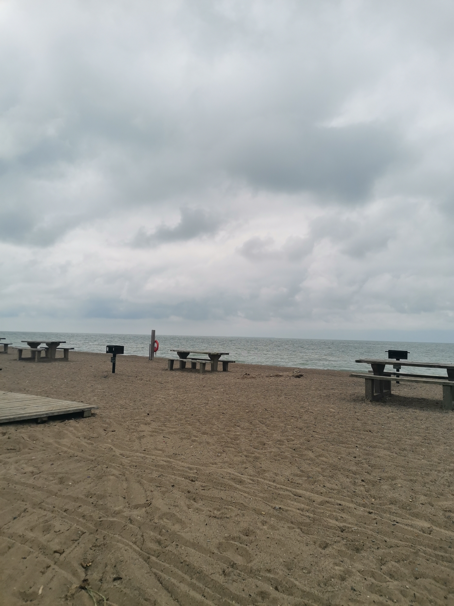 beach at point pelee national park 
