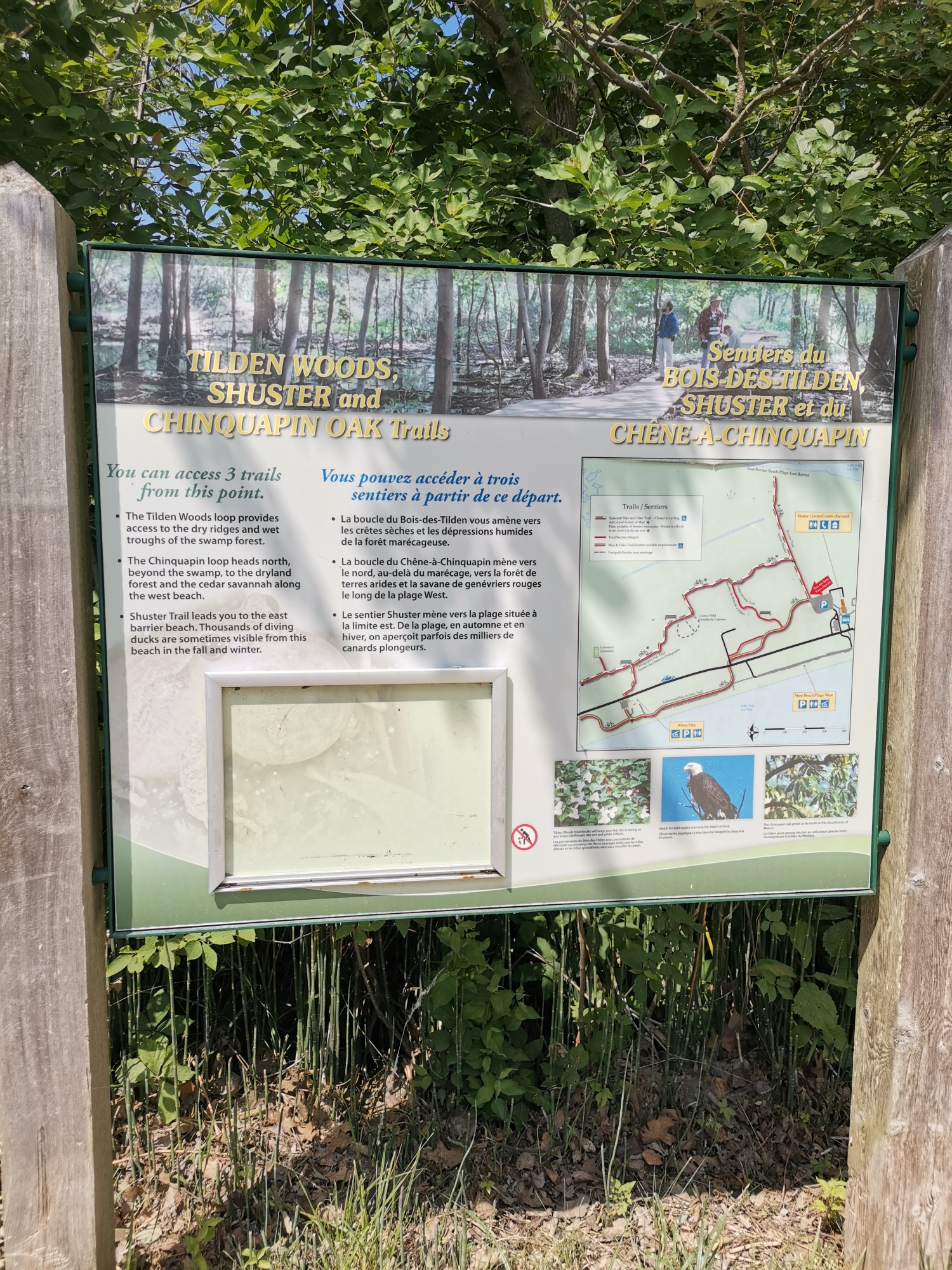 Tilden woods trail point pelee national park