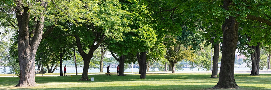 View of park, trees and the Detroit River near campus