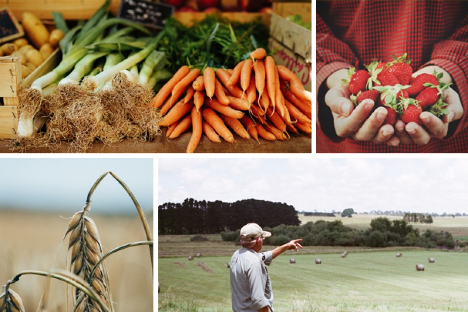 A farmer &amp; locally grown produce