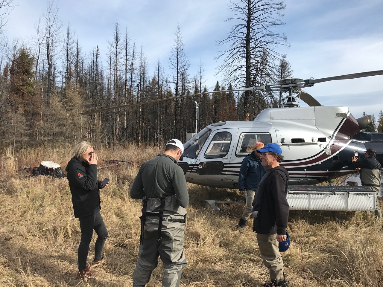 research helicopter near woods
