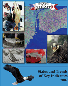 softs 2007 report cover