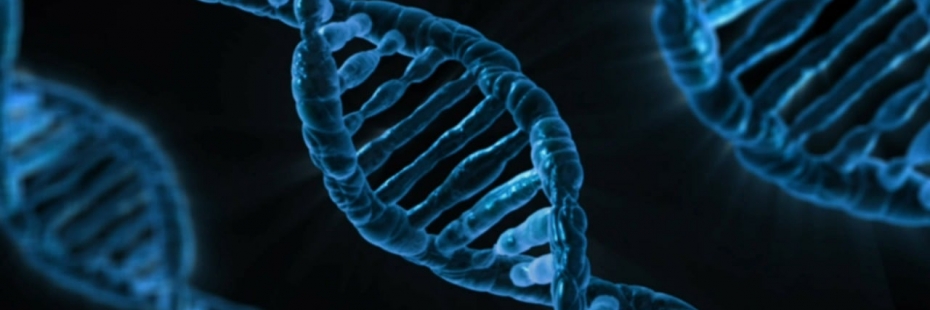 Image of multiple DNA fragments.