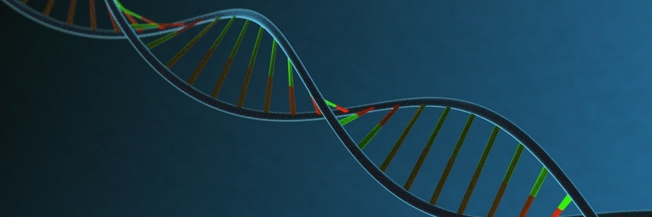 Image of a DNA Helix.