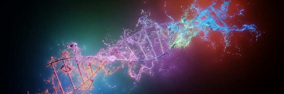 Image of a colourful DNA helix.