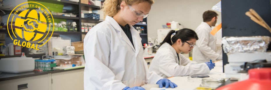 Students in a research lab