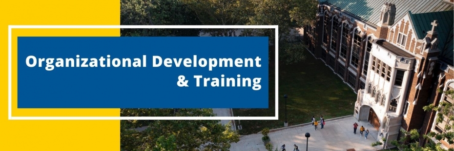 organizational development and training