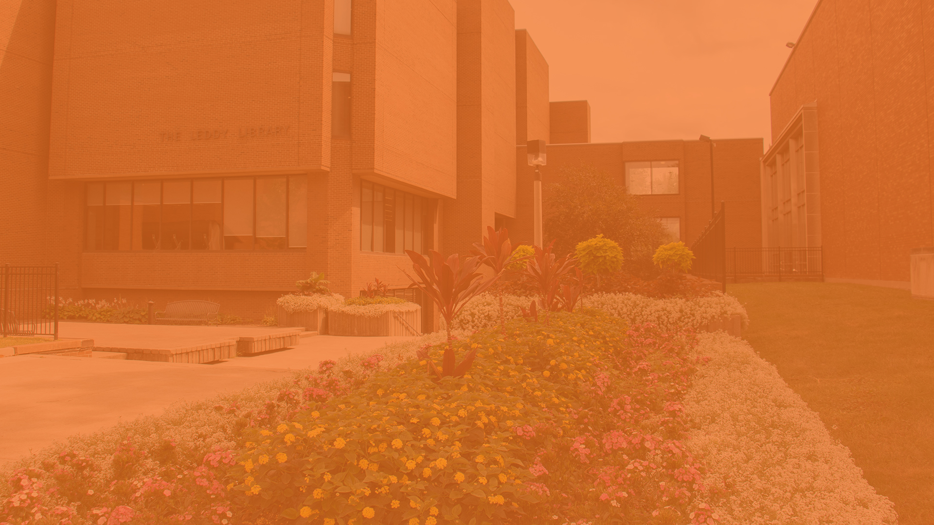 Orange Shirt Day virtual background - Leddy Library