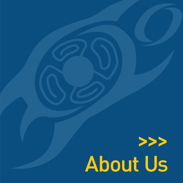 Turtle Island graphic on blue background