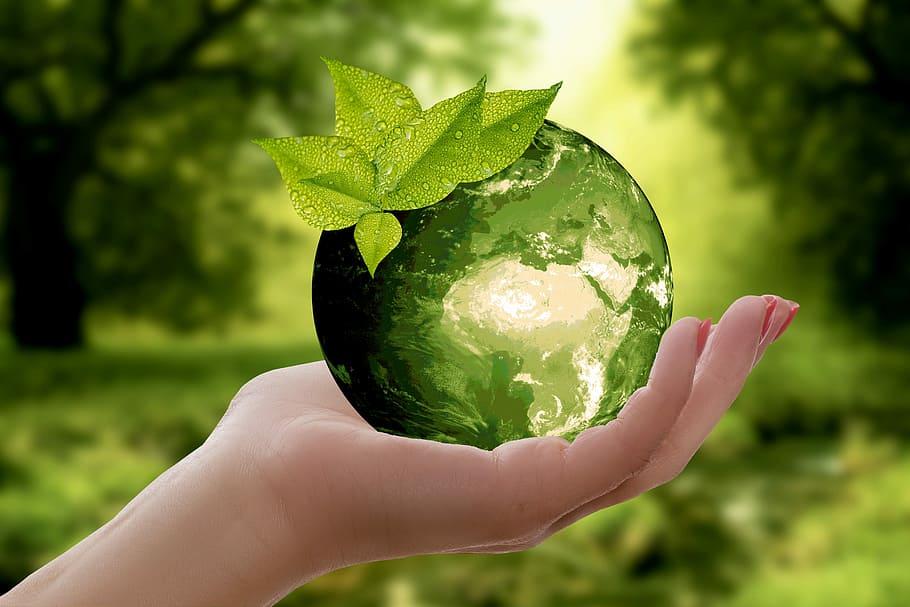 Hand holding a small globe with a plant sprouting from it