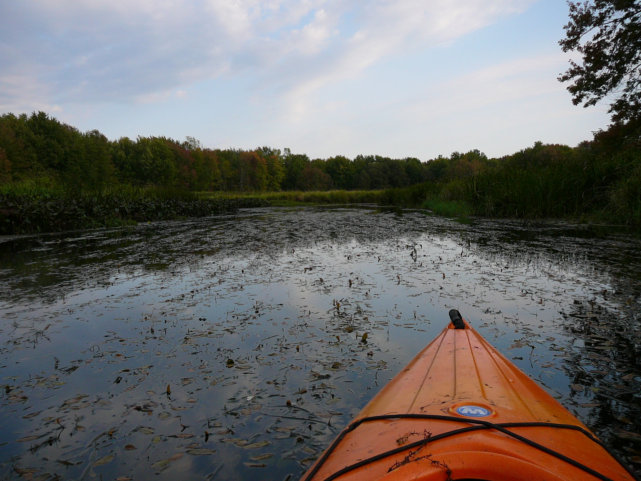 Kayak resting on the shore of a lake