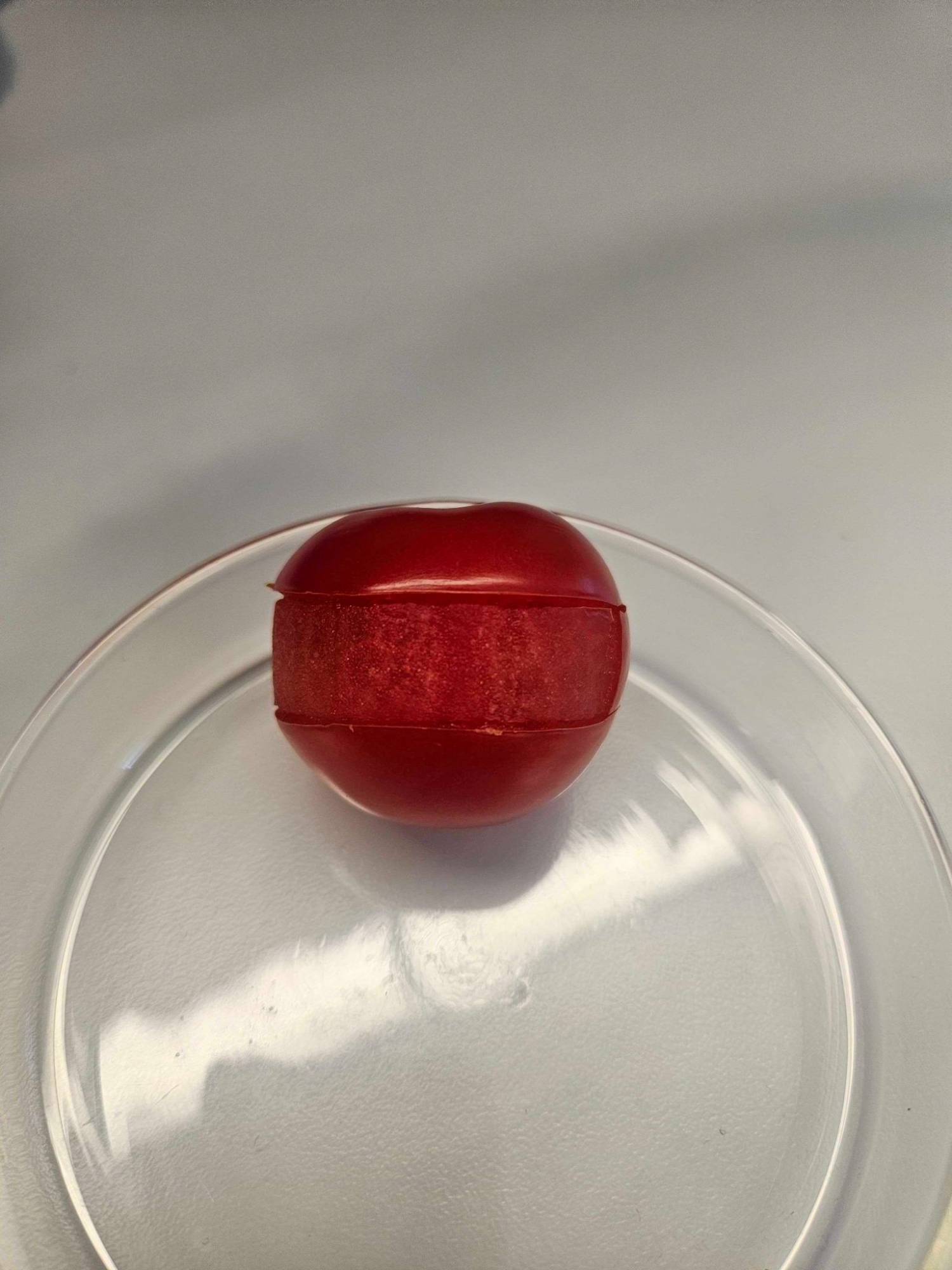 Sliced tomato showing skin cross-section