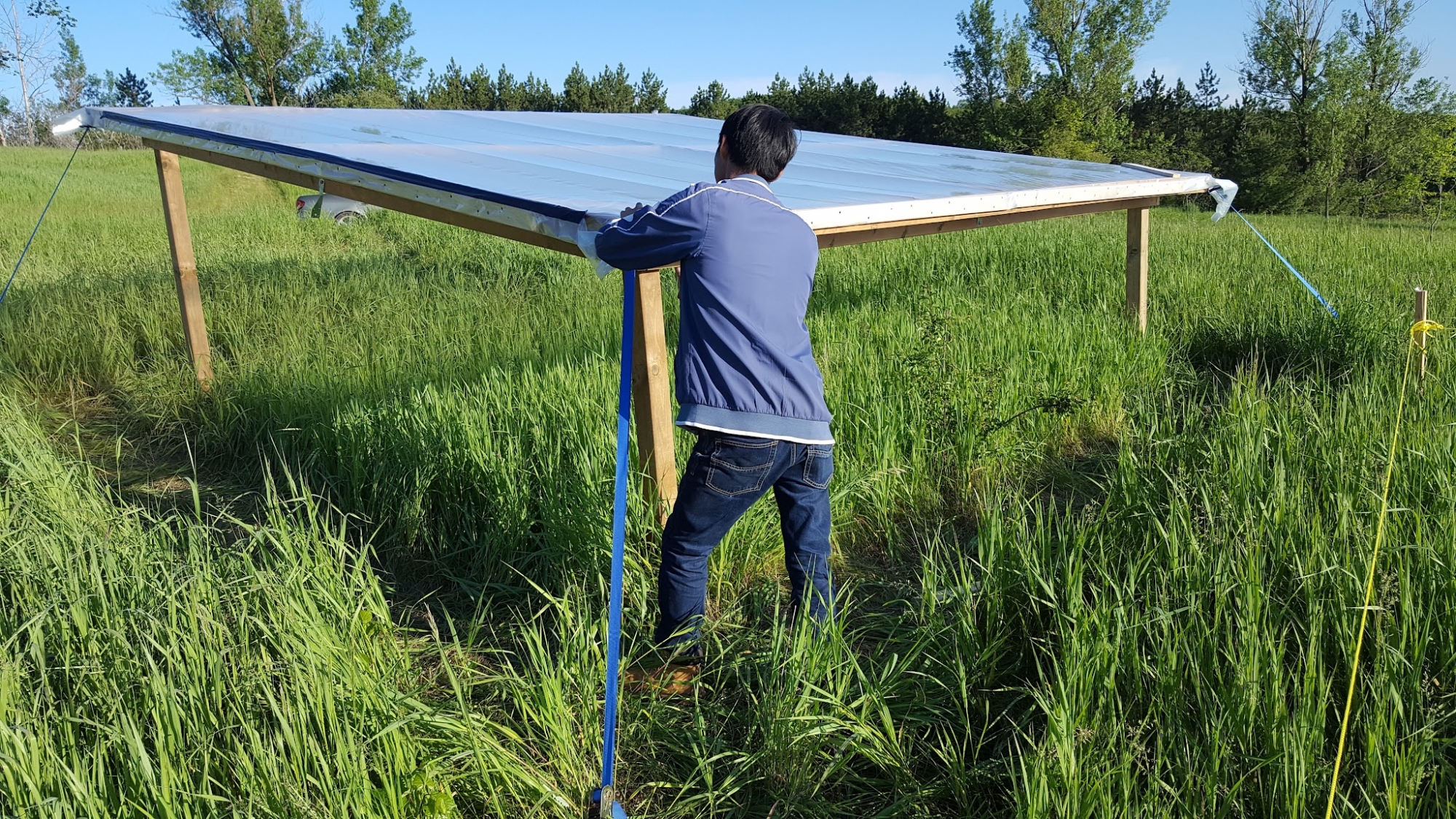 Student conducting agricultural research