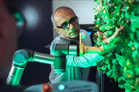 Man touching leaves on a vertical garden