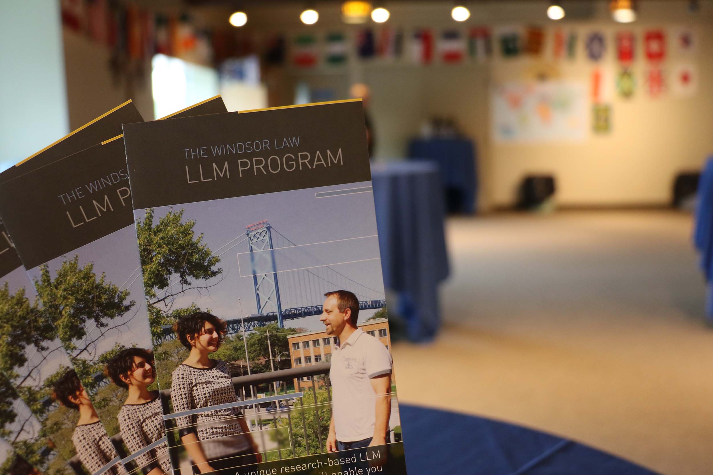 Windsor Law LLM Program Brochure