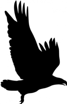 Eagle symbol