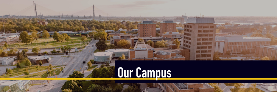 UWindsor campus birdsview