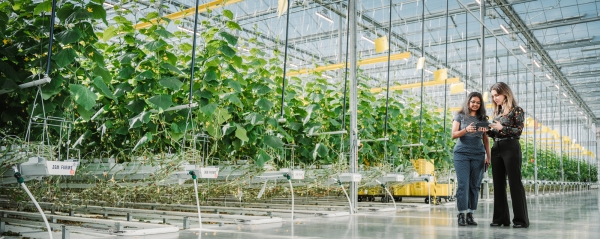 UWindsor’s record-breaking results in the 2026 Times Higher Education rankings highlight its global leadership in research, innovation and hands-on learning.