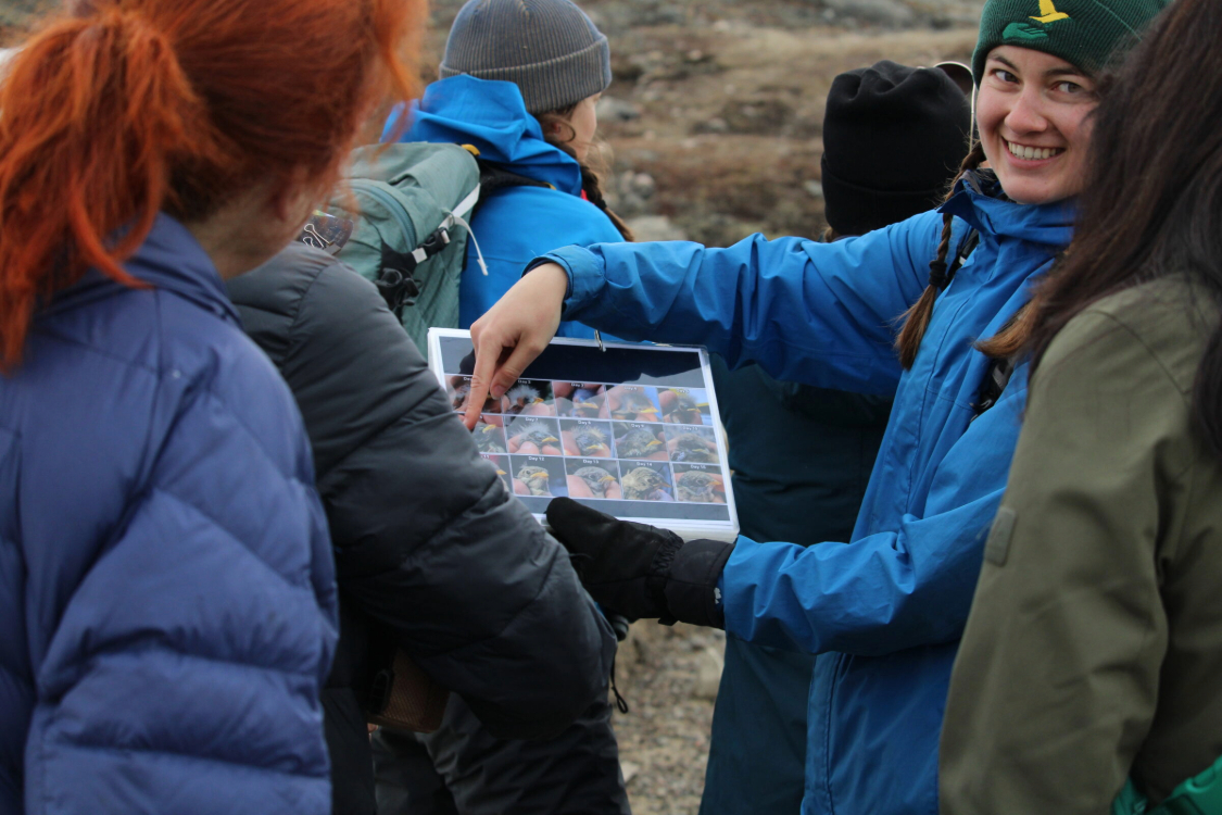 Community walk in the Arctic