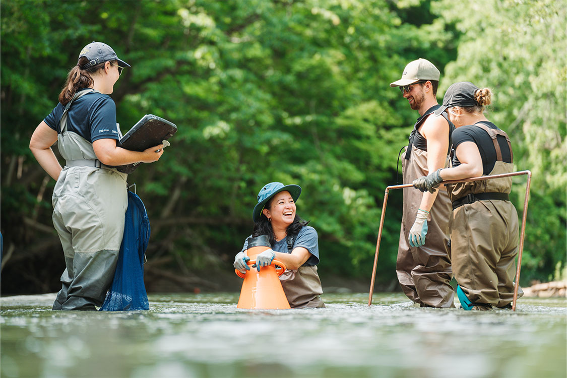 Catherine Febria, centre, conducts field research with three University of Windsor students while standing in the Sydenham River.