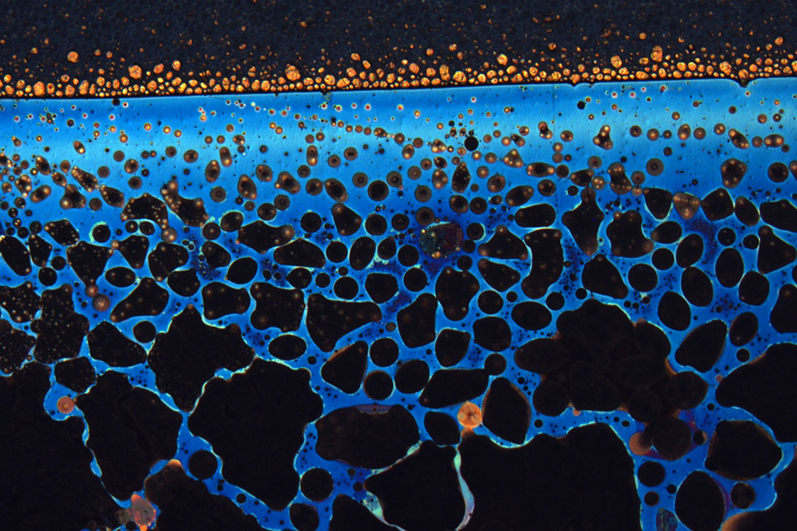 PhD candidate Rahaf Hussein's photograph, titled “Copper Beach.” 